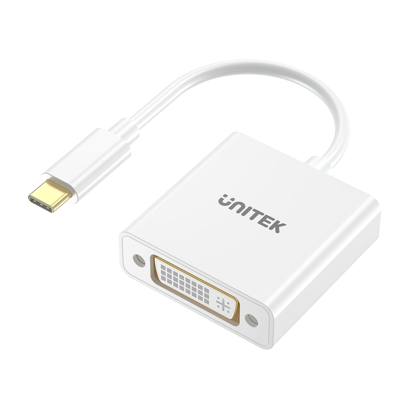 USB-C to DVI Adapter